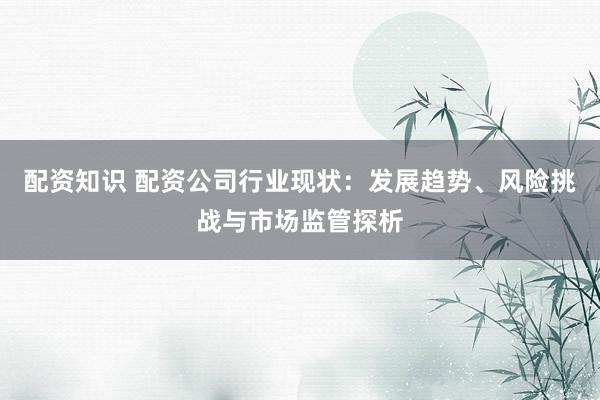配资知识 配资公司行业现状：发展趋势、风险挑战与市场监管探析