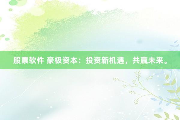 股票软件 豪极资本：投资新机遇，共赢未来。