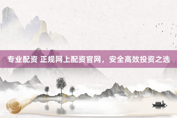专业配资 正规网上配资官网，安全高效投资之选