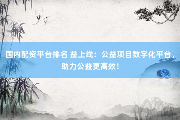 国内配资平台排名 益上线：公益项目数字化平台，助力公益更高效！
