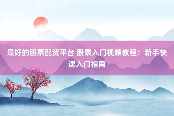 最好的股票配资平台 股票入门视频教程：新手快速入门指南