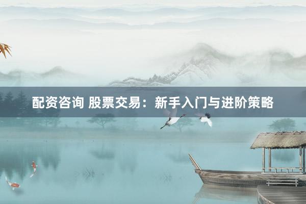 配资咨询 股票交易：新手入门与进阶策略