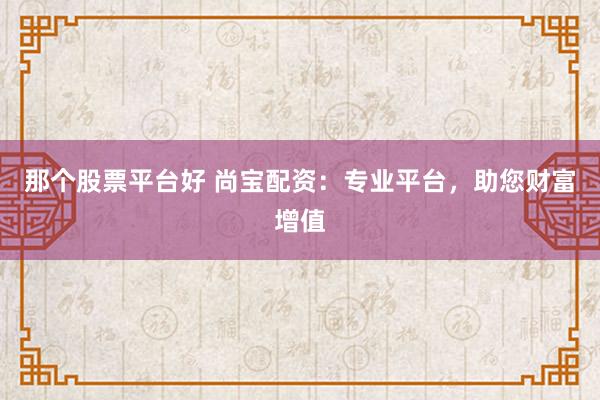 那个股票平台好 尚宝配资:专业平台,助您财富增值