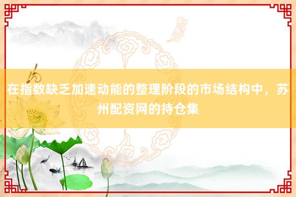在指数缺乏加速动能的整理阶段的市场结构中，苏州配资网的持仓集