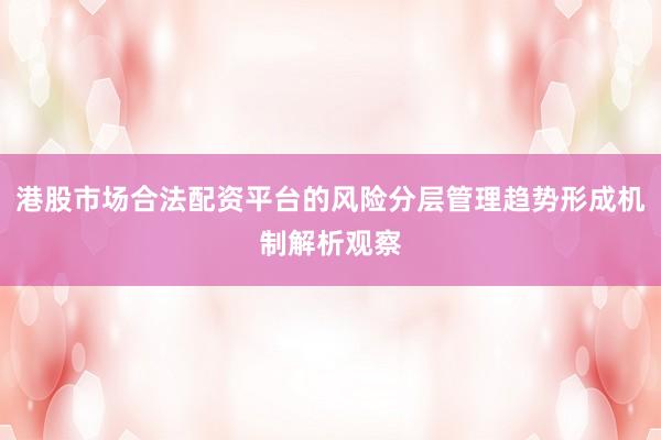 港股市场合法配资平台的风险分层管理趋势形成机制解析观察