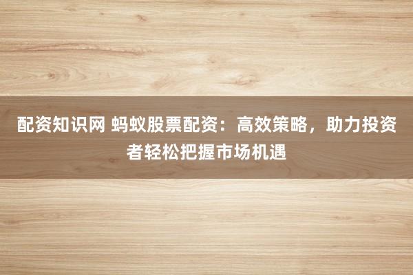 配资知识网 蚂蚁股票配资:高效策略,助力投资者轻松把握市场机遇