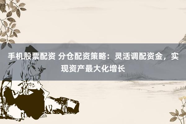 手机股票配资 分仓配资策略：灵活调配资金，实现资产最大化增长